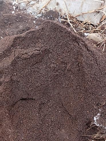 продажа перегноя: Перегной сеяный в мешках пяти летней выдержки в мешках — 4