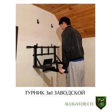 турник настенные потолочные: Турник, 3 в 1, Настенный, Новый, Самовывоз, Платная доставка — 1