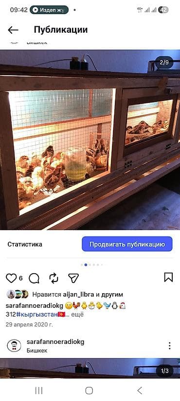 бекер мышык: Переносной уличный курятник-цыплятник «День‑ночь» - Назначение — 3