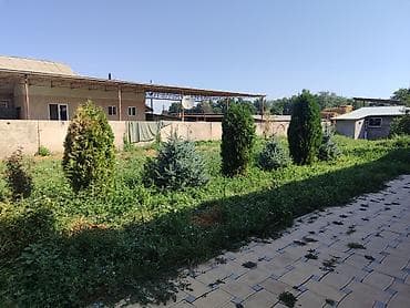 Недвижимость: 60 соток — 1
