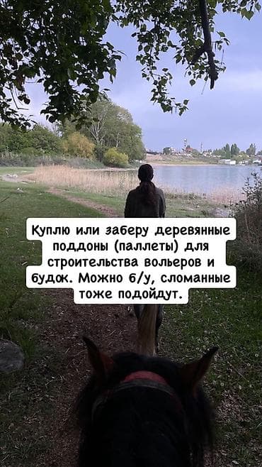 поддоны каракол: Поддон Б/у, В наличии — 1