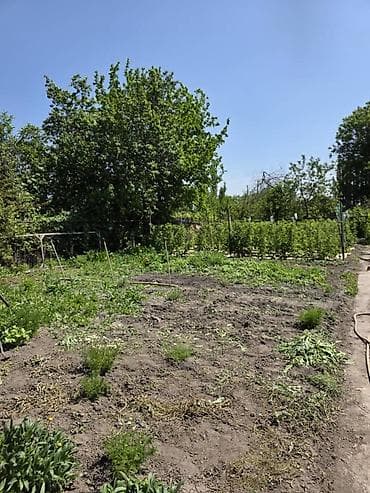 буржуй: Продается дом в тихом, экологически чистом районе. Село Ленинское Дом — 5