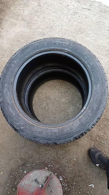 jetta 2: Летние шины General Tire на 17" - Размер: 225/55 R17 - Индекс — 2