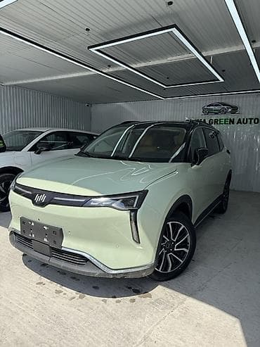 Weltmeister: Weltmeister W6, 2021 г., 18000 км, Передний — 4