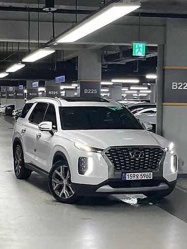 shadow line: Hyundai Palisade: 2021 г., Кроссовер — 2