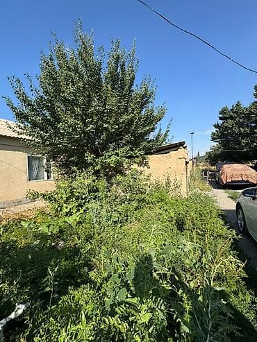 алтын казык ж м: Продается дом с большим участком в 15 соток с.Шалта ( Сокулукский р-н — 4