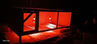 курица для шаурмы: Передвижной уличный мини-курятник/вольер для птицы. Характеристики: - — 7