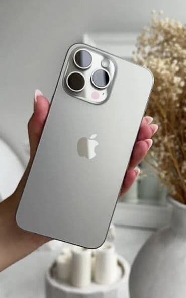 pro 6: IPhone 15 Pro Max, Б/у, 256 ГБ, Natural Titanium, Зарядное устройство, Защитное стекло, Чехол, 88 % — 1