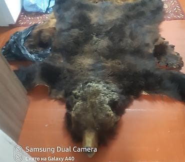 Тошоки: Ковер Настенный, Шкура — 4