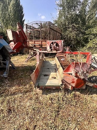 беларуз 82: Фасоль жулгуч сатылат 3х — 5