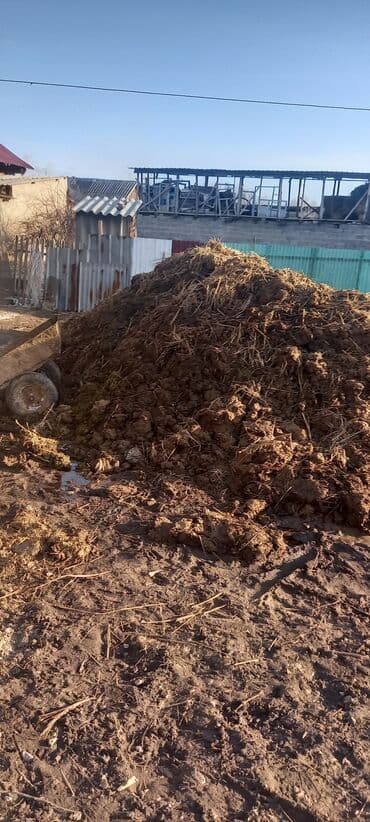 фонд добрые руки: Бесплатно бекер самовывоз — 1