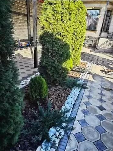 Үй жана бакча үчүн баардык: Ландшафтные работы и автоматический полив под ключ. - Проектирование — 5