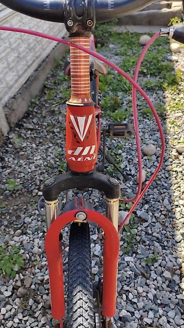 Балдар транспорту: Балдар үчүн велосипед, 2 дөңгөлөктүү, 6 - 9 жаш, Колдонулган — 5