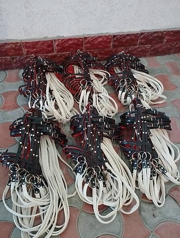 улья рута: Комплект конной амуниции в традиционном стиле. Состав и особенности — 6