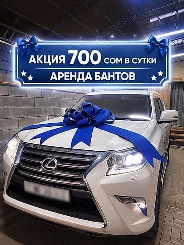 цена на лук в бишкеке: 🚘АКЦИЯ — всего 700 сом/сутки! Подходит на любую машину Предлагаем — 1