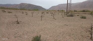 прадаю дом: 5 соток, Для бизнеса, Красная книга — 6