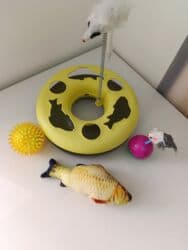 чемоданы бишкек дордой цены: Спорттук сумка, Материалы: Эко булгаары, Балдага, Колдонулган — 4