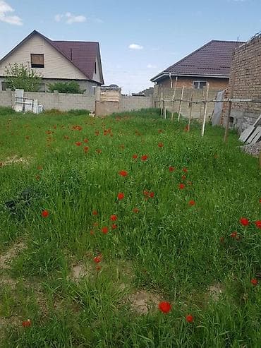Кыймылсыз мүлк: 5 соток, Сатып алуу-сатуу келишими, Кызыл китеп — 6