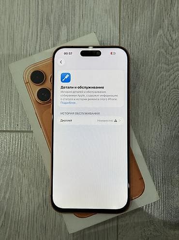 apple 17: IPhone 17 Pro Max, 256 ГБ, 100 % — 5