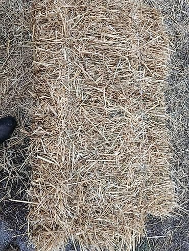 Тюк соломы (прессованный) - Материал: натуральная солома, резка