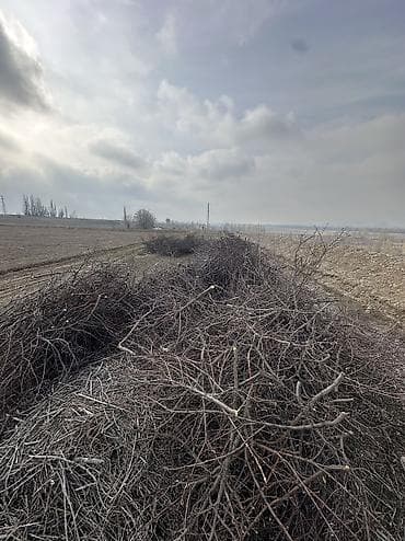 Бакча эмереги: Отун Өзү алып кетүү — 1