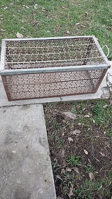 Ящики: Железный Ящик — 2