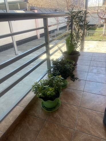 продаю офисный стол: Гулдор 4000 сом баары — 2