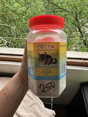 продать животных: Джунгарский хомячок (окрас светло-серый с белым брюшком) - — 9