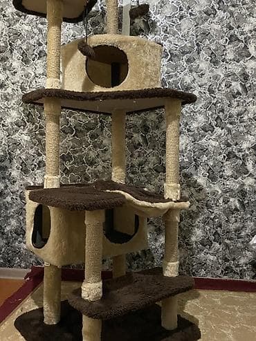 fidget cube: 170 см Игровой комплекс для кошек, многоуровневый - Высокая — 1