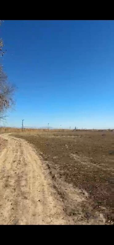 продаю дом в рассрочку в караколе: 1500 соток, Для сельского хозяйства, Красная книга — 3