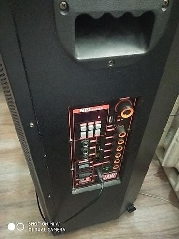 jbl pulse 5: Портативная акустическая система JAW с двумя беспроводными микрофонами — 2
