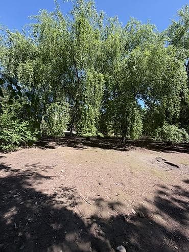 Недвижимость: 29 соток, Для бизнеса, Договор купли-продажи — 3