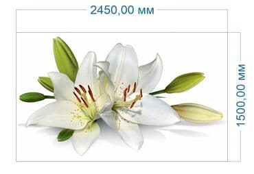 стоимость натяжных потолков: Натяжной потолок Глянцевое, 3D потолки, Матовое Гарантия, Бесплатная консультация, Демонтаж — 4