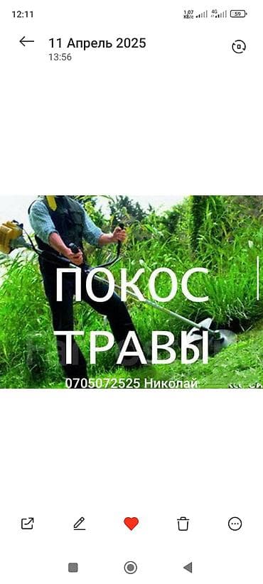 резка дерево: Уборка территории, Стрижка газона — 4