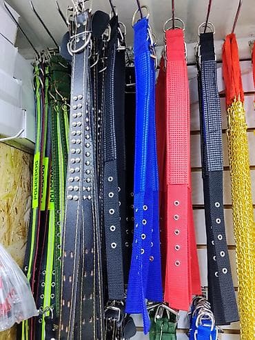 ошейник для кошек: Ошейники для собак — широкий выбор моделей и размеров - Материалы — 1
