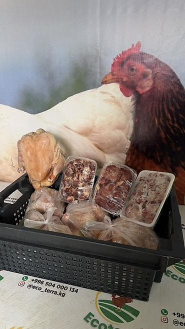 Курица и индейка Ecoterra — тушка и субпродукты - Курица: тушки at lalafo.kg Курица и индейка Ecoterra — тушка и субпродукты - Курица: тушки