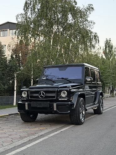 210 mers: Mercedes-Benz G-Class: 2001 г., 5 л, Автомат, Бензин, Внедорожник — 1