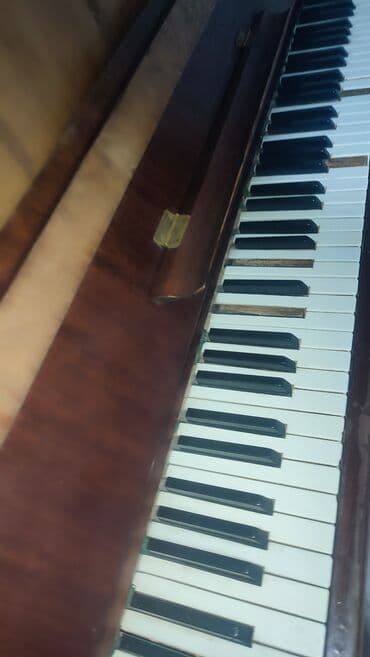 Гитаралар: Пианино Терек 7000сом срочно!!!! — 2