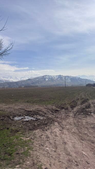 ишу земельный дом кок жар: 385 соток, Для сельского хозяйства, Договор дарения — 2