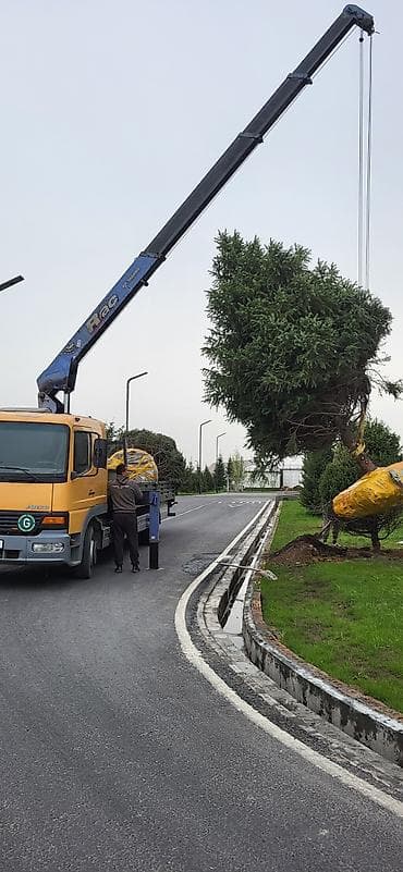 озеление: Стрела 12 м, 5 т, Борт 8000 кг — 1