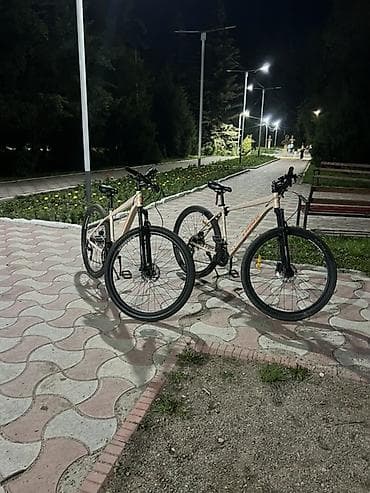 Городские велосипеды: Городские/кросс-кантрийные велосипеды с колесами 29" Основные — 2