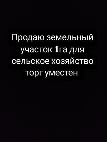 ак жар ж м: 100 соток, Айыл чарба үчүн, Техпаспорт, Сатып алуу-сатуу келишими — 1