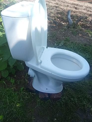 аквариум купить: Унитаз Напольный, Б/у, Материал: Фарфор — 1