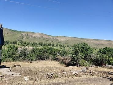 5 соток, Курулуш, Кызыл китеп
