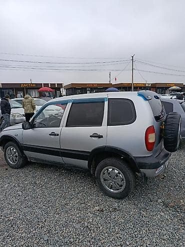 панел нива: Chevrolet Niva: 2006 г., 0.7 л, Механика, Бензин, Кроссовер — 2