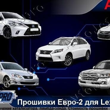 runx alex: Без выезда — 4