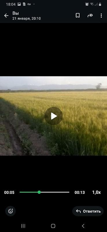 Семена ячменя . Маргерет. двух рядный и вакула