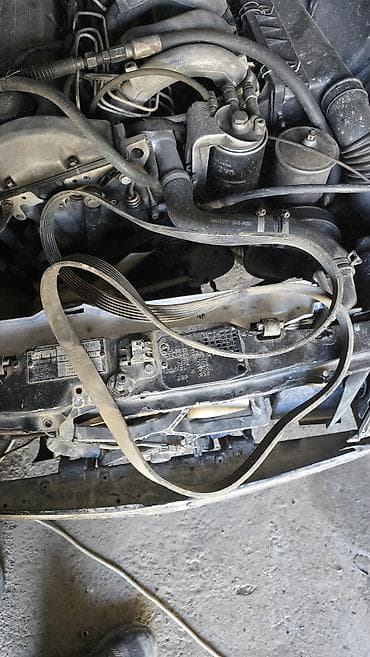 Ремень Mercedes-Benz 1994 г., Новый, Оригинал, Германия at lalafo.kg Ремень Mercedes-Benz 1994 г., Новый, Оригинал, Германия