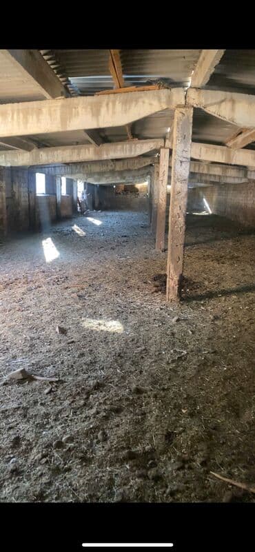 аренда квартира бишкек: Продаю Кошара, 40 соток, Действующий, Без оборудования, Электричество, Холодная вода — 4