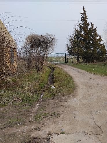 кызыл таш: 7 соток, Курулуш — 2